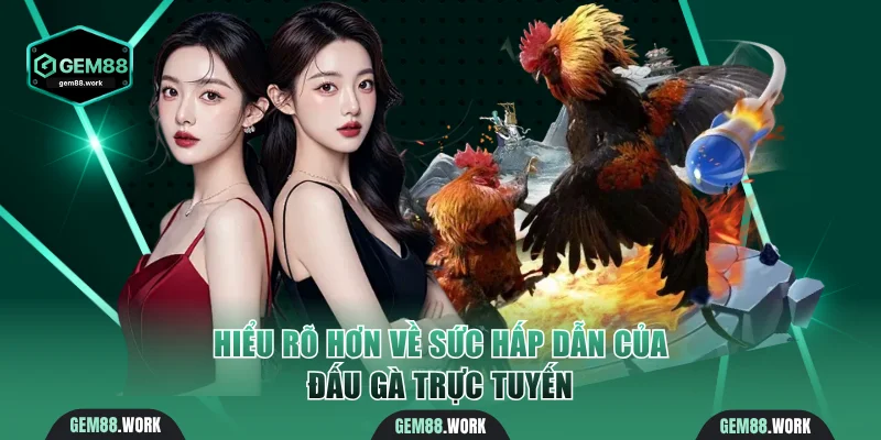 Đá Gà Thomo - Trải Nghiệm Đấu Trường Lớn Nhất Tại Campuchia Hiểu rõ hơn về sức hấp dẫn của đấu gà trực tuyến