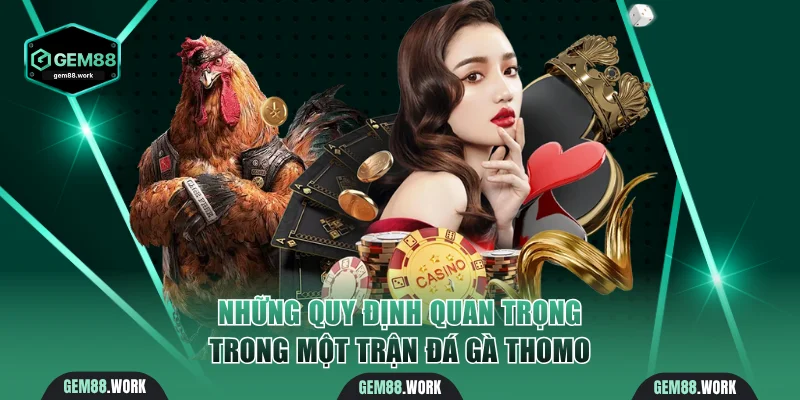 Đá Gà Thomo - Trải Nghiệm Đấu Trường Lớn Nhất Tại Campuchia Những quy định quan trọng trong một trận đá gà Thomo